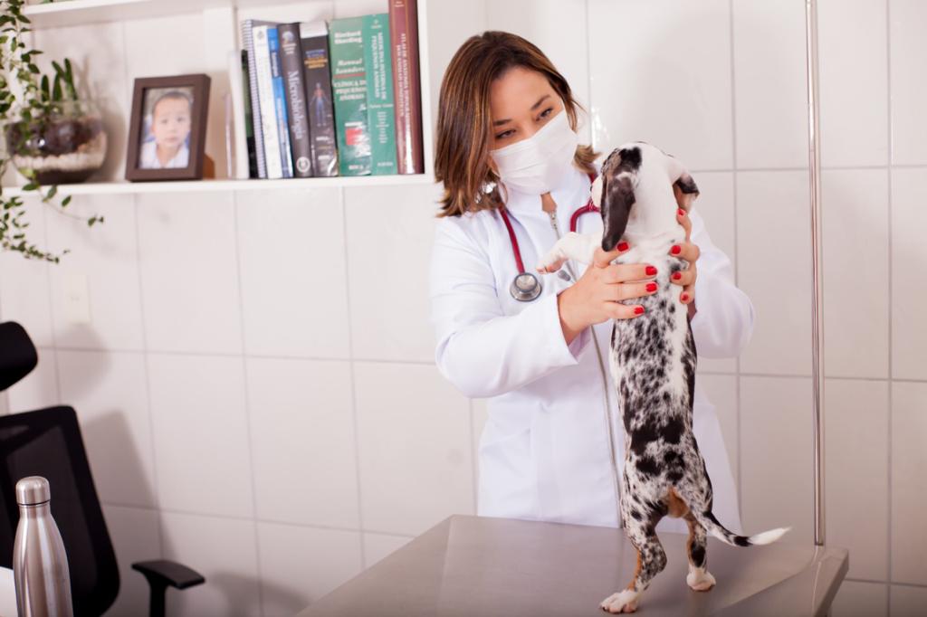 Paola durante consulta veterinária de cão pequeno